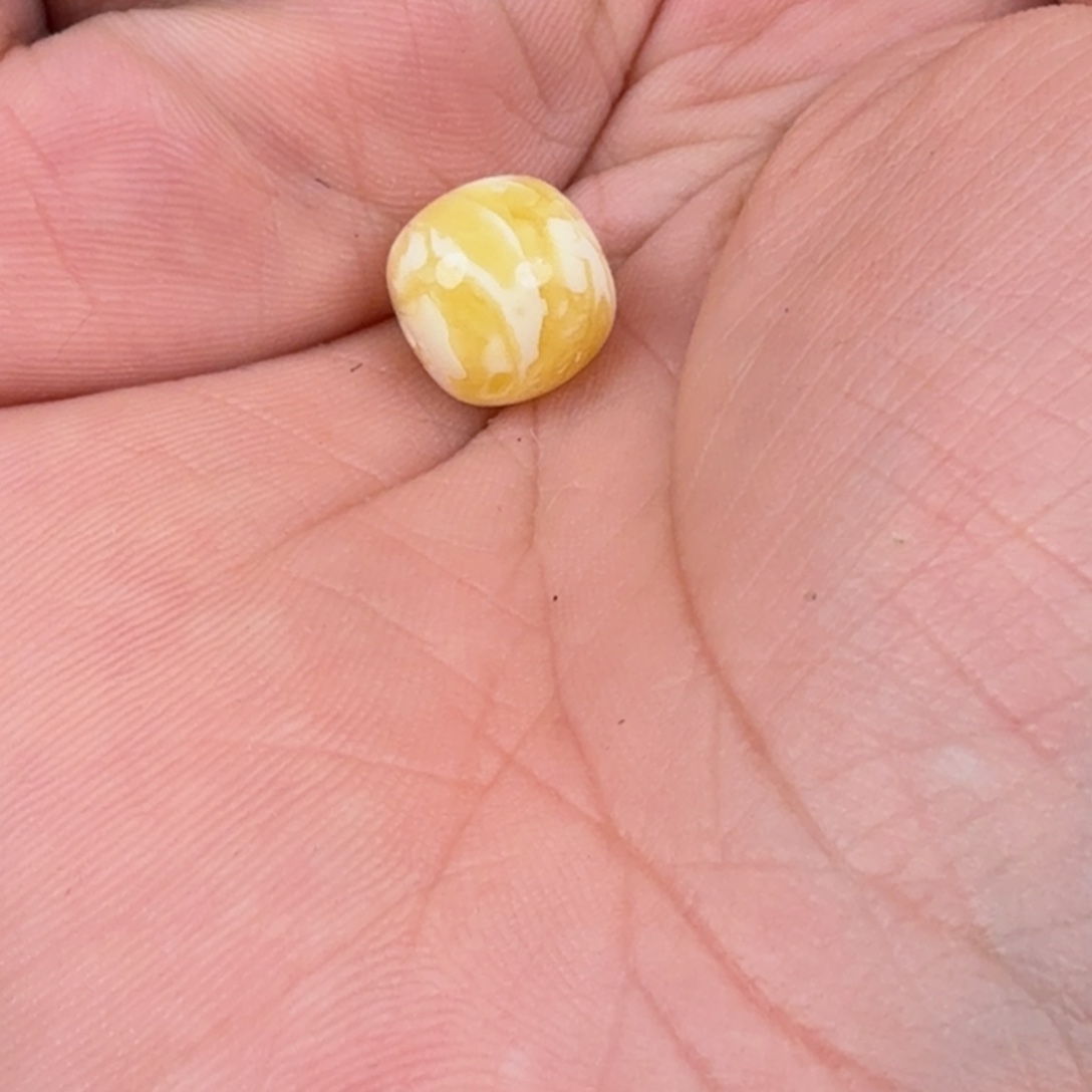 C***l定制琥珀11*12虎皮老型单珠