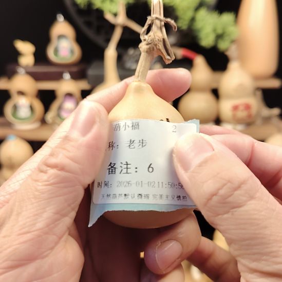 6天然小葫芦手把件