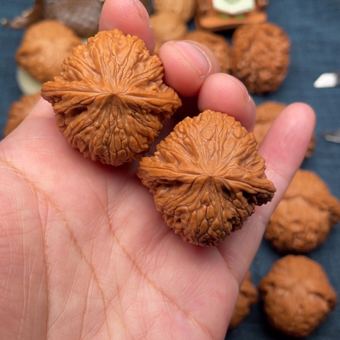 文玩核桃把件36精品老树绣球全品