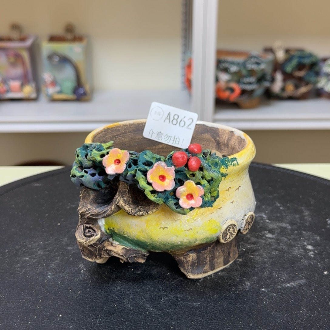 嵐***嵐A862 【闪购】多肉花盆