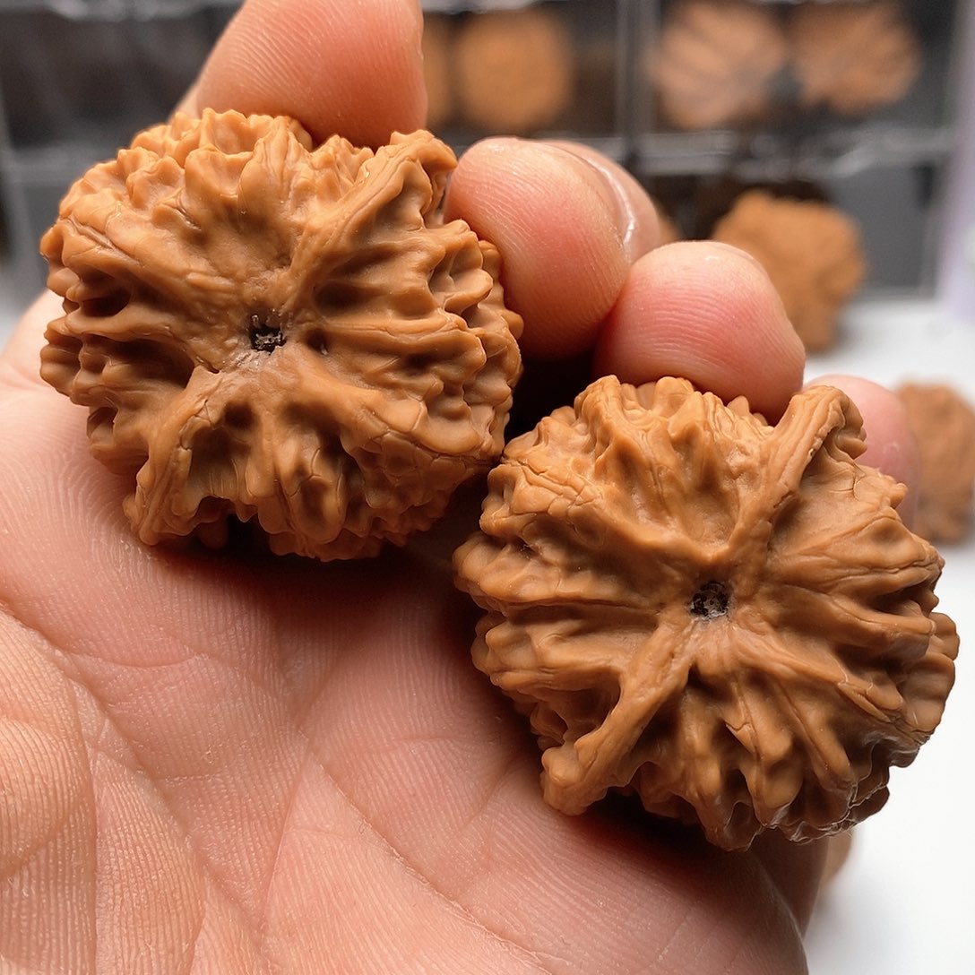 40全品山地苹果88888888