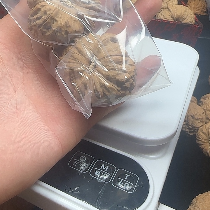 随***࿐龙脊菩提吊坠啊啊啊啊啊南瓜16