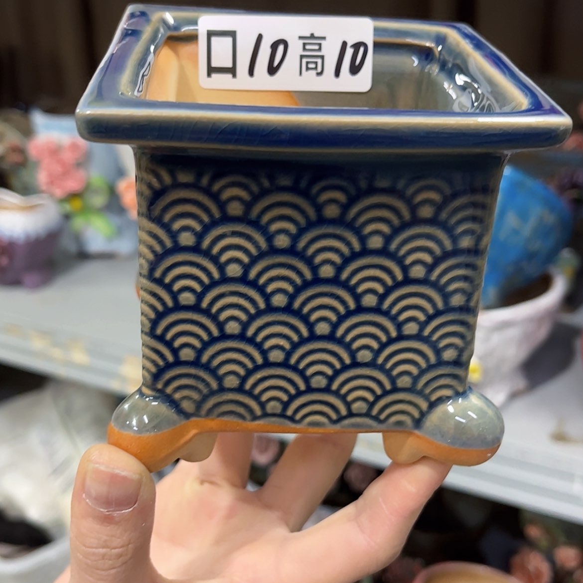 【闪购商品】红陶福利