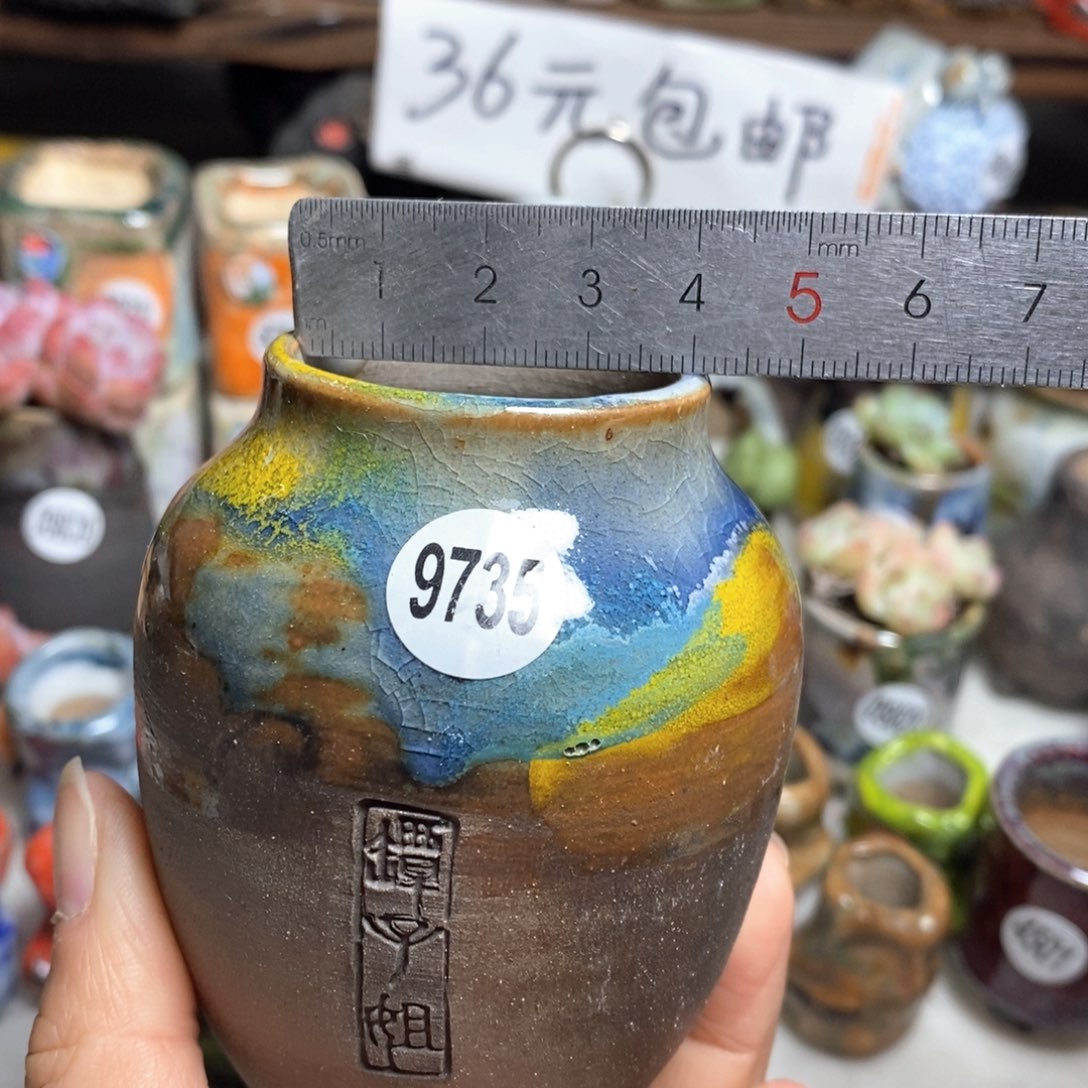 特价花盆处理，不退不换，原28元