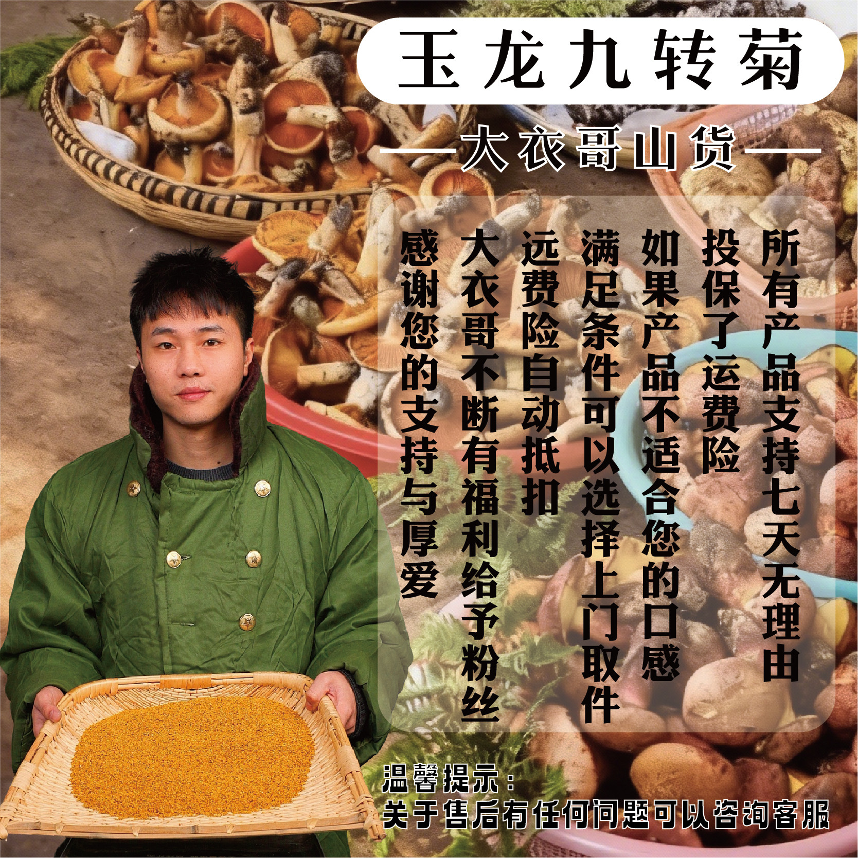 [故里山货]玉龙九转菊