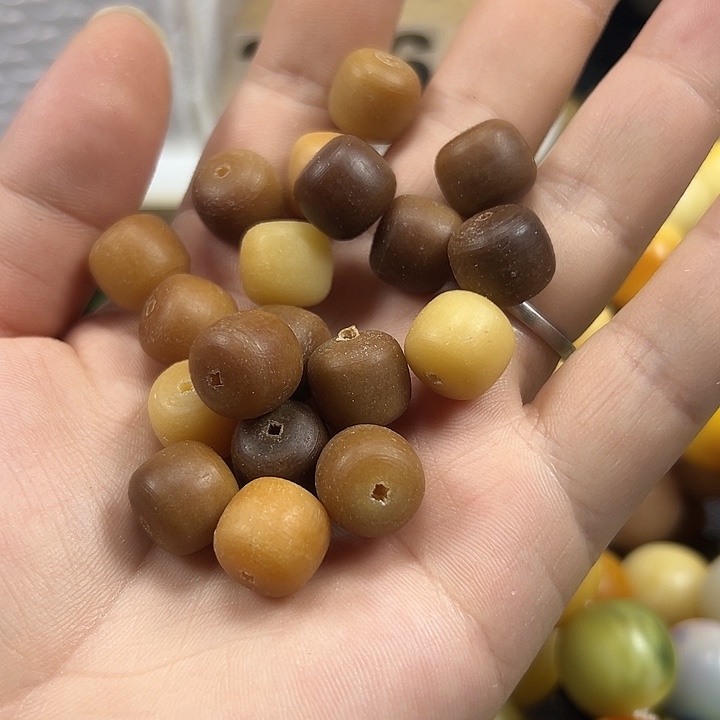 小***喔吊坠菩提根/象牙果