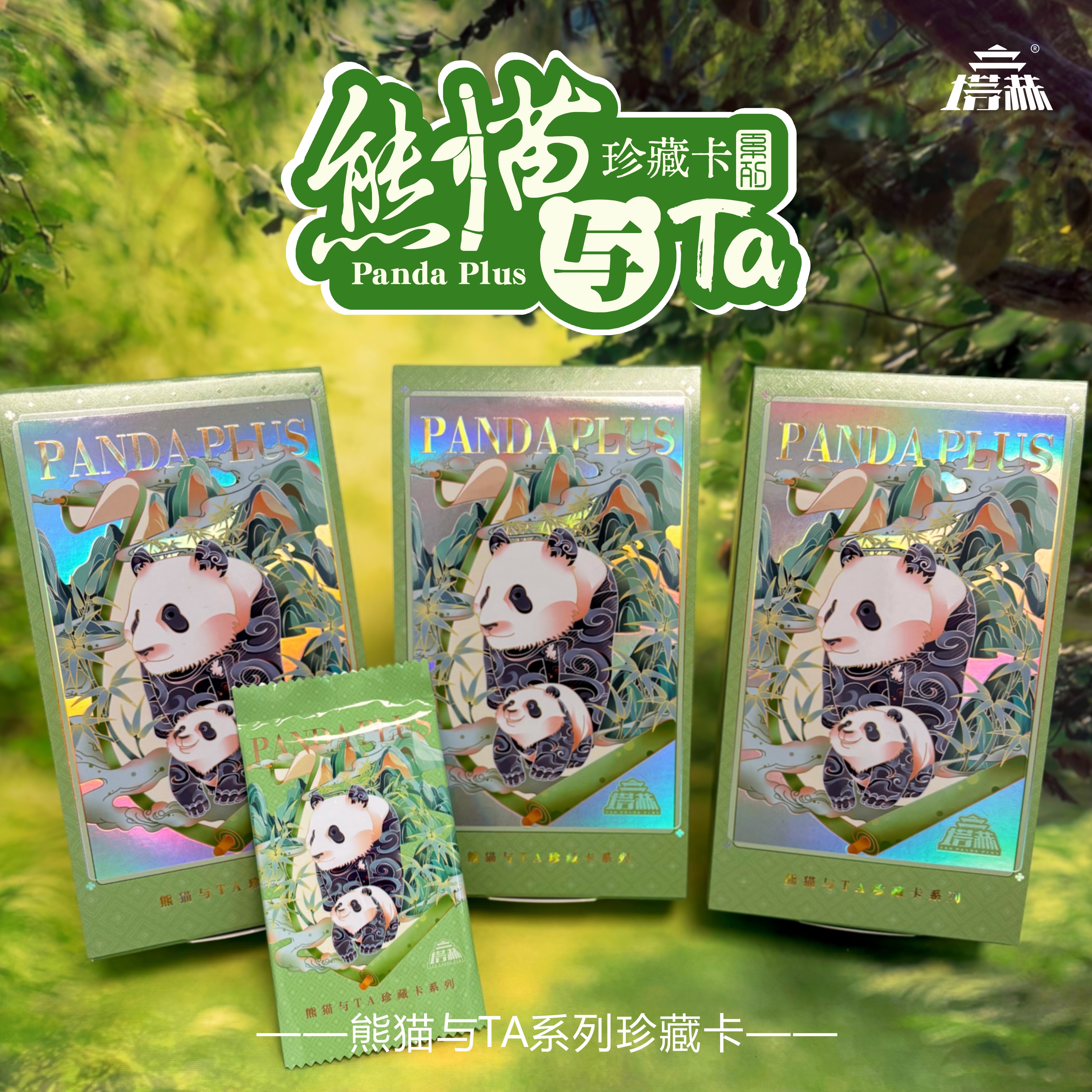 【平拆】塔赫《熊猫与TA》系列珍藏卡  卡牌盲盒 （拆卡）
