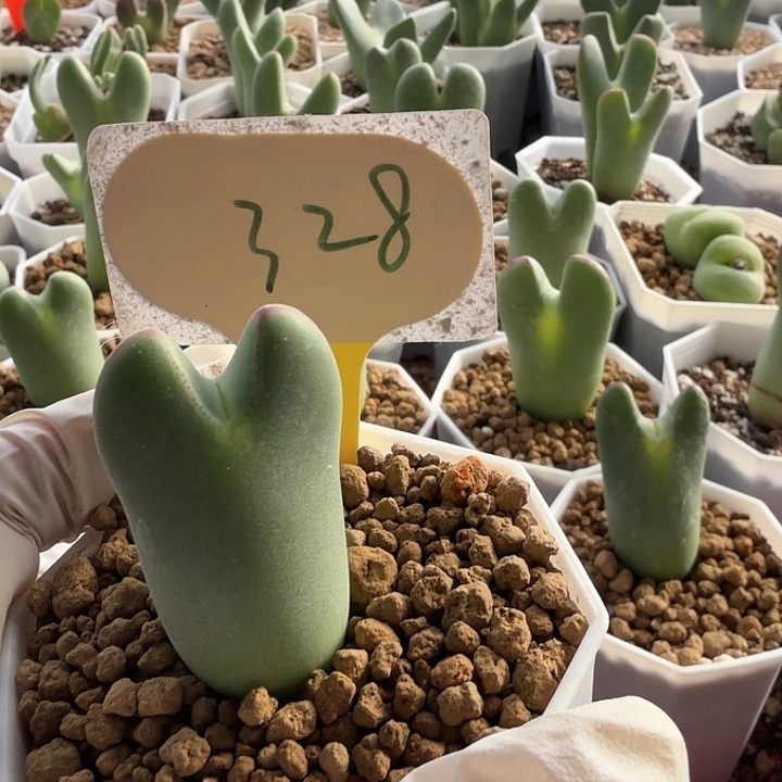 用***9328 mmnnnnnnnjjjjjjjnn