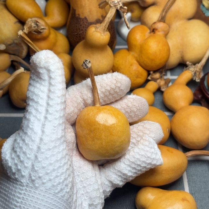 留***白葫芦6666666666666