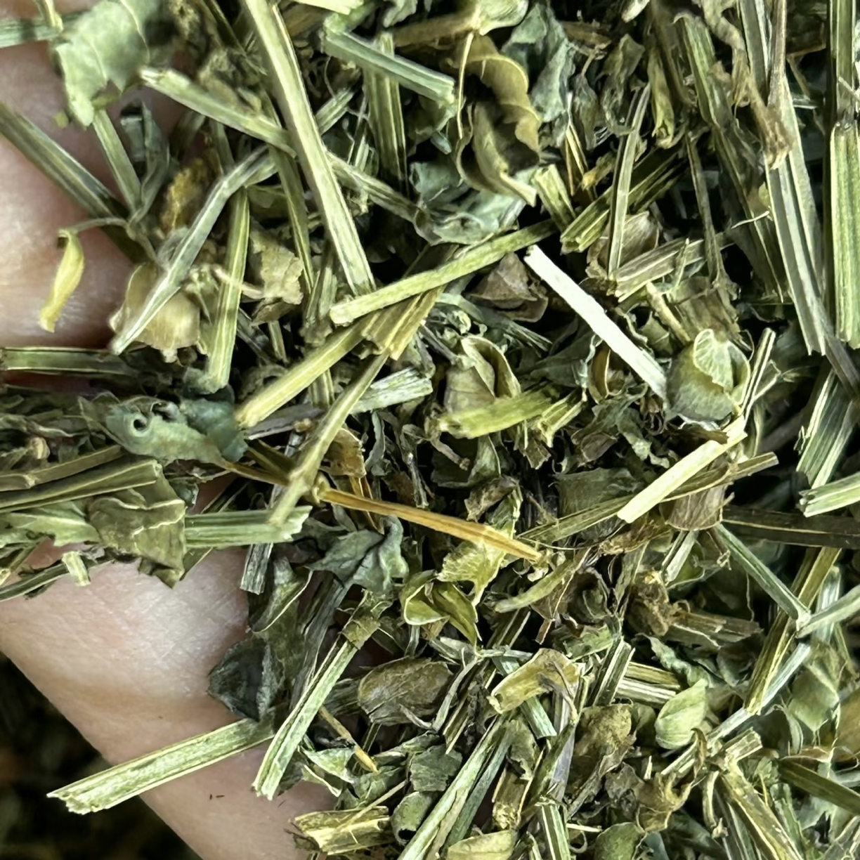 正宗云南【半枝莲】中药材新货农家晒干头茬可搭配白花蛇舌草