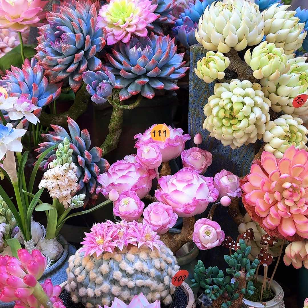 让**南888888888889