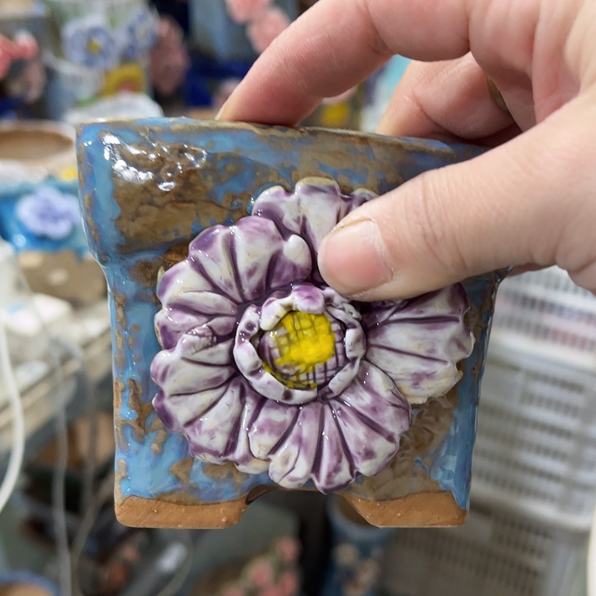 【闪购商品】红陶福利