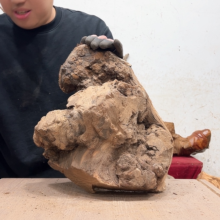 柏木大**沙我们的生活也是如此吧