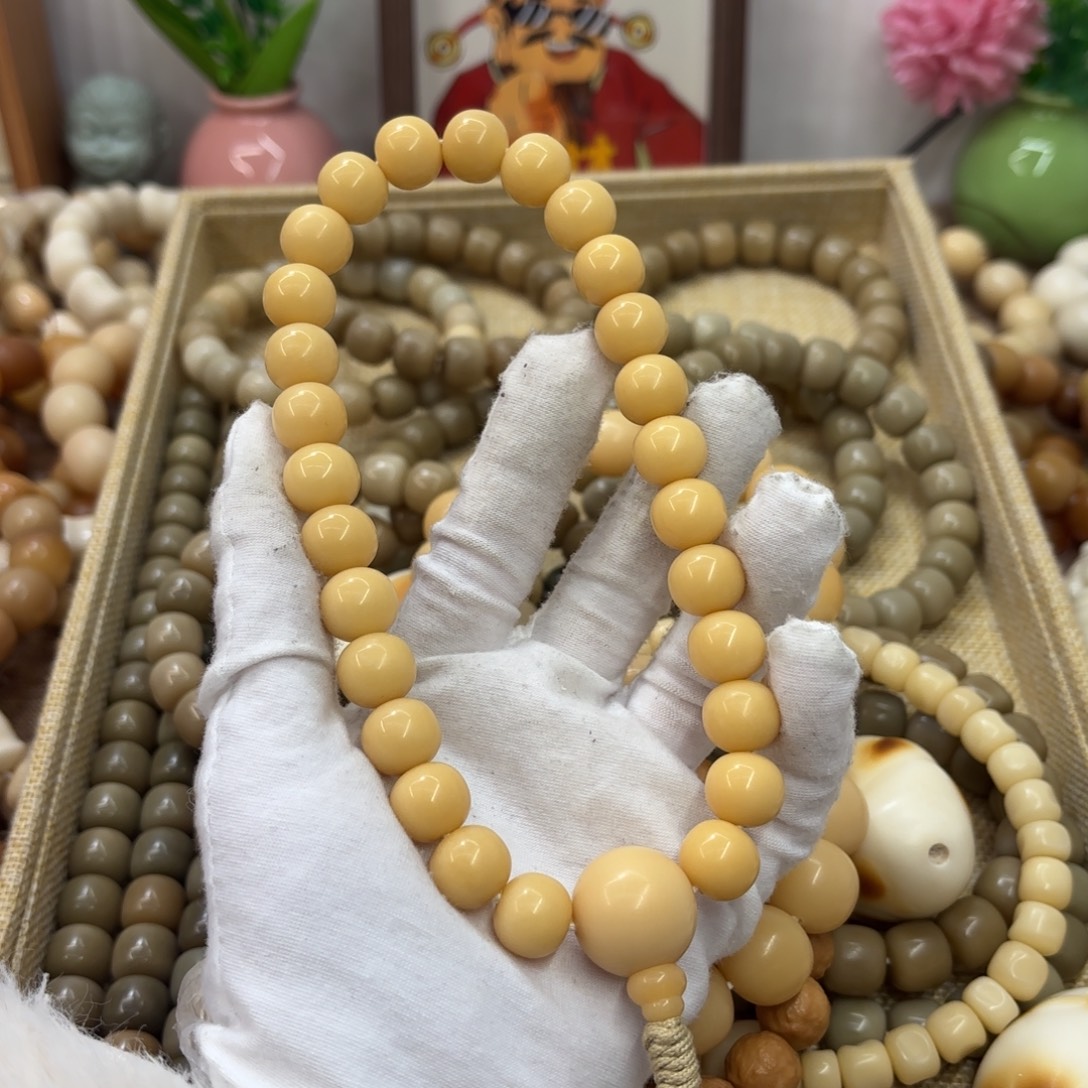 吊坠菩提根/象牙果13干磨树王胖苹果手持539