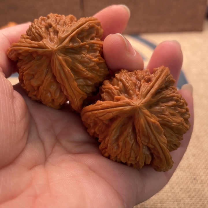 p***y核桃白狮子41核桃