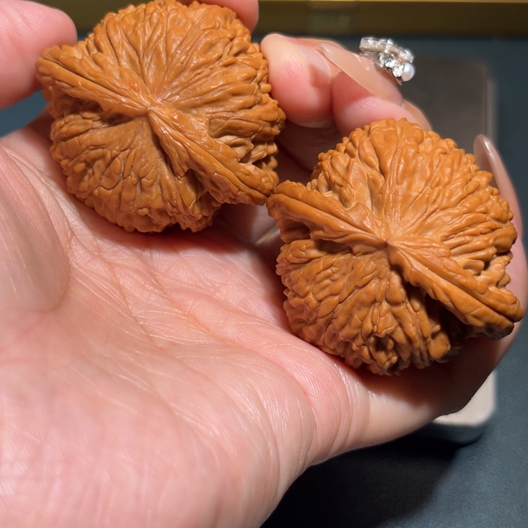 文玩核桃把件白狮45