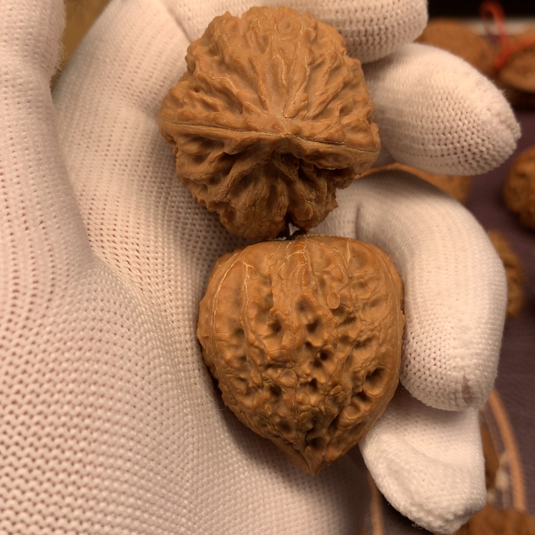 秦岭南侧和东北北部部分