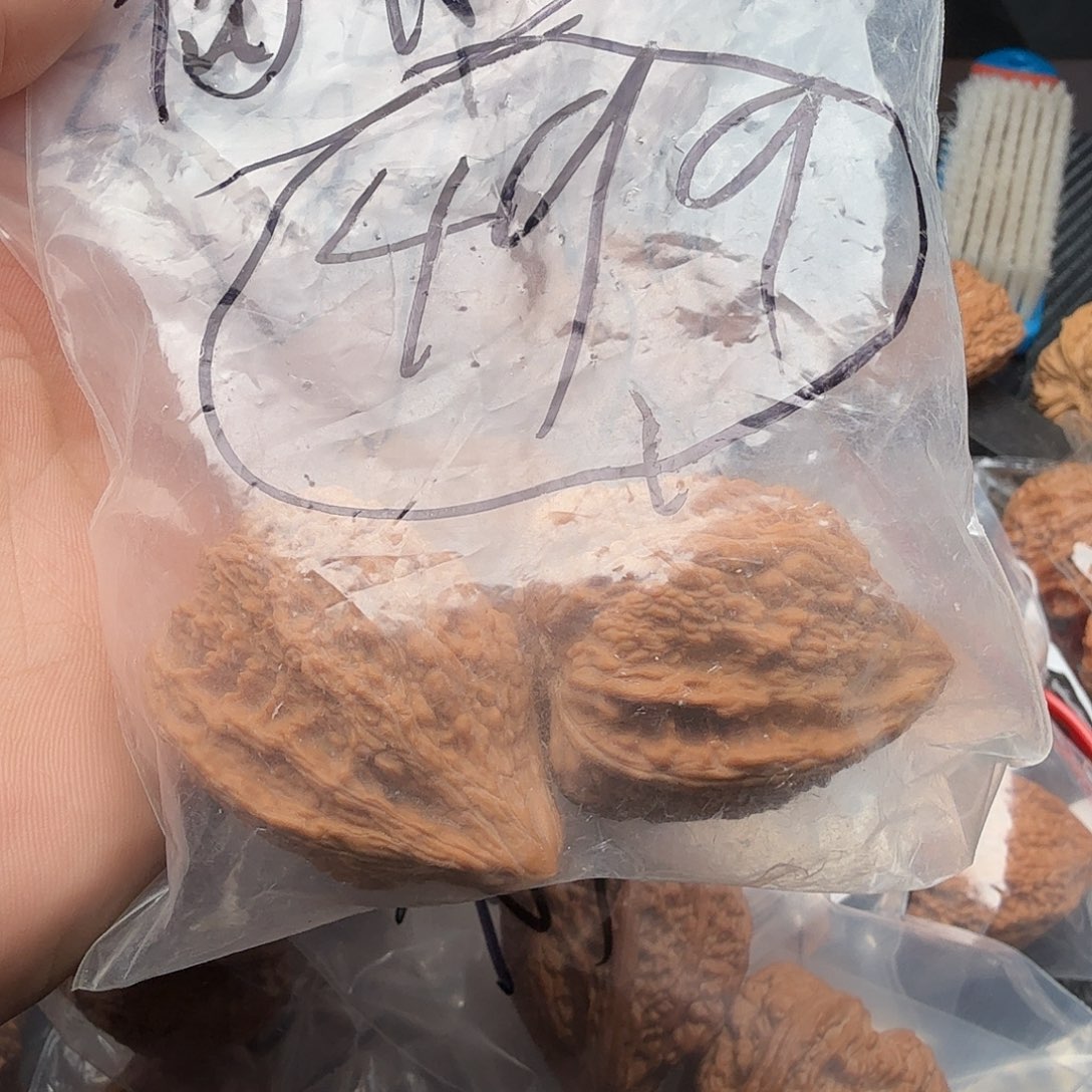 桃核吊坠福利塔尖核桃