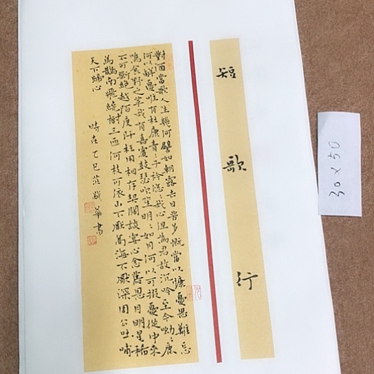 书法庄盛华书法作品