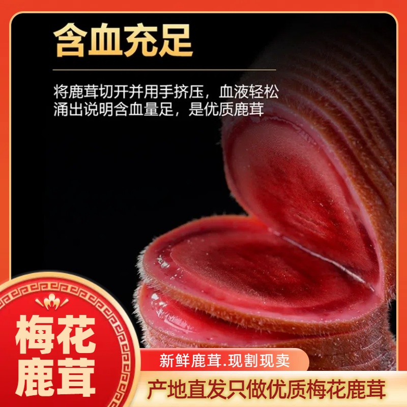 原产地鹿乡滋补甄选鲜鹿茸，以直播间实物为准