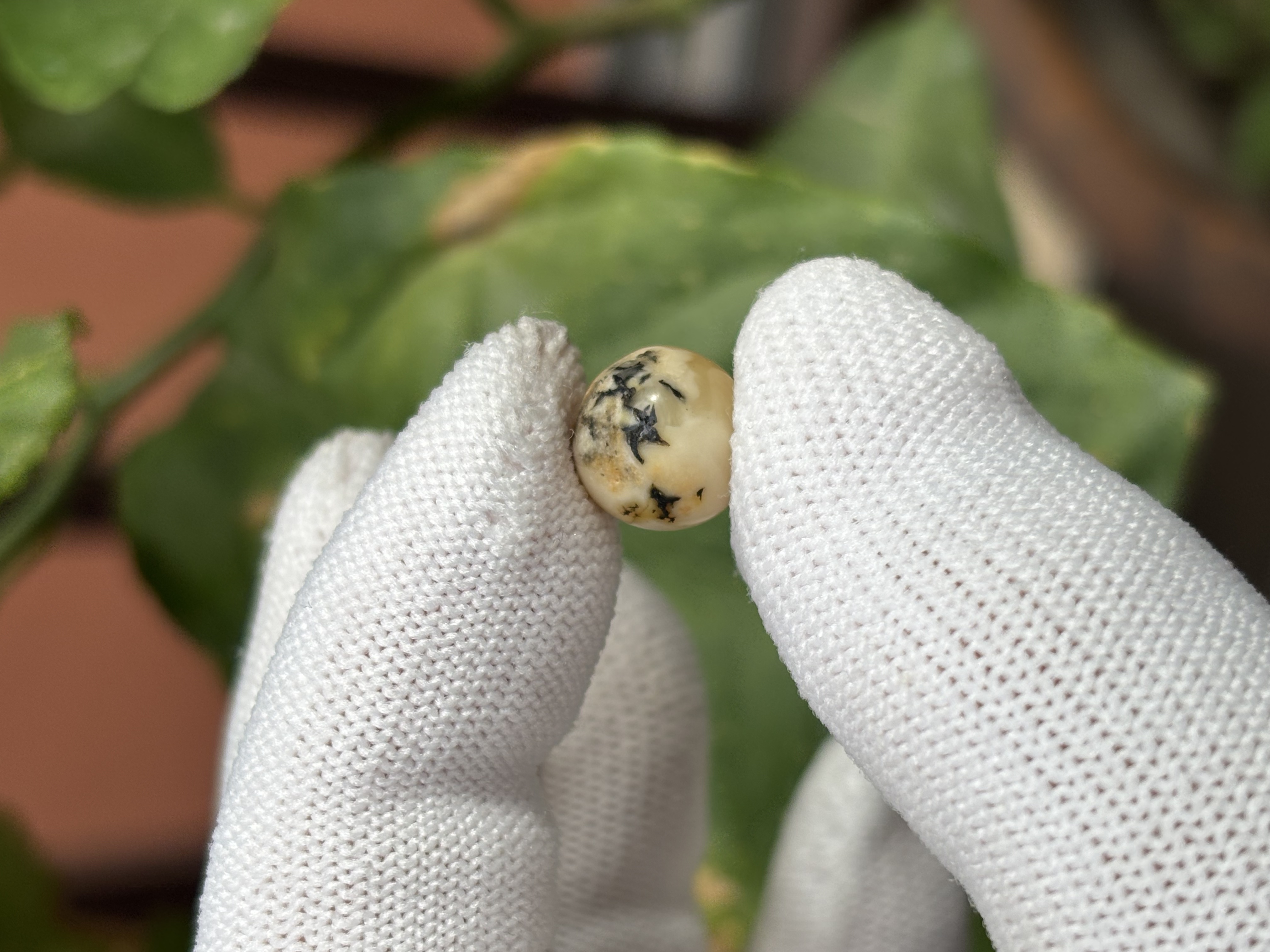 5270天然蜜蜡琥珀微瑕圆珠10.5mm