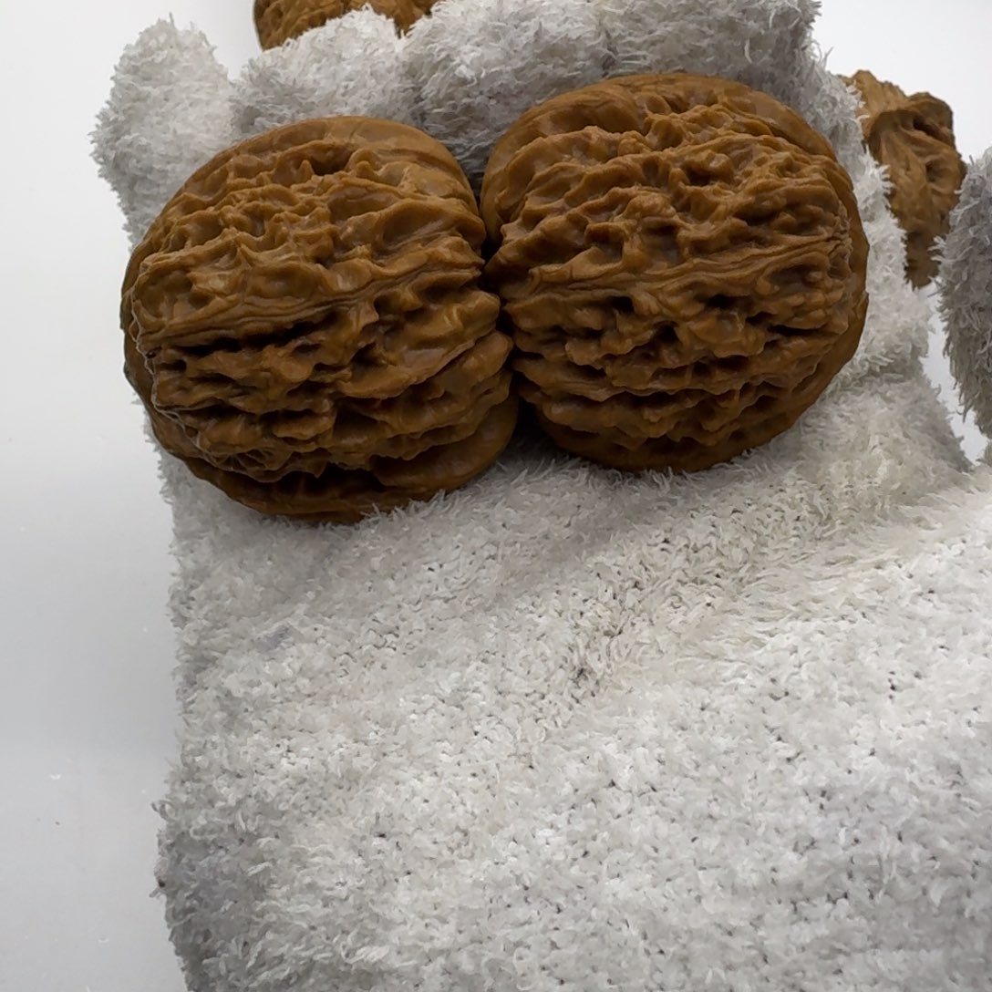 41尺寸南疆石核桃