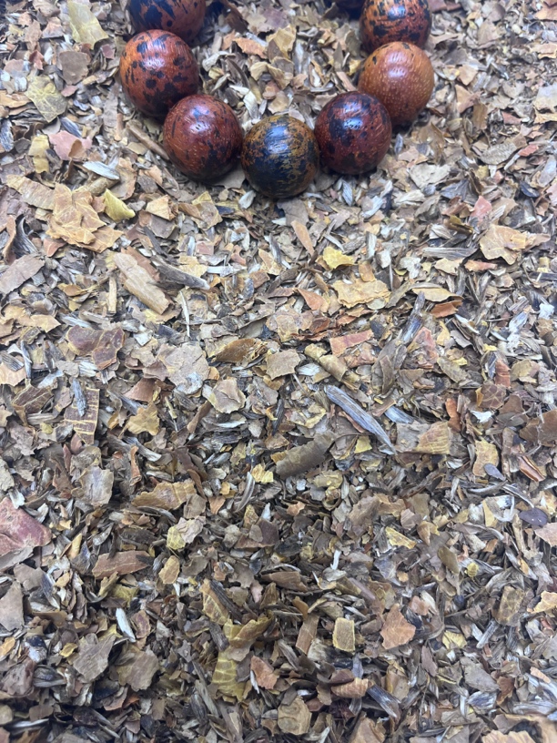 沉香E333 二哥精选文玩木作