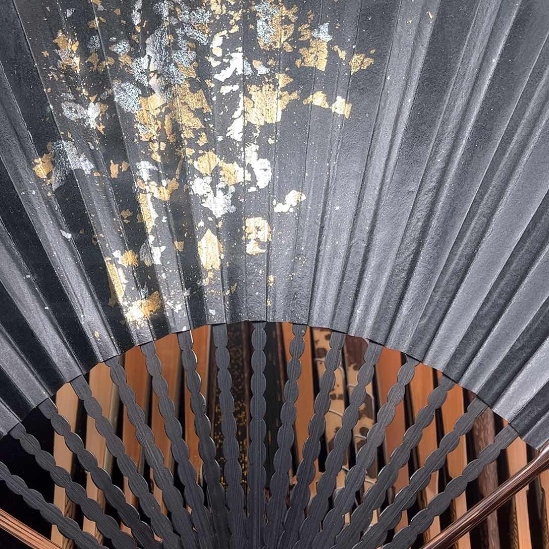 扇子爆炸金龙鳞棕竹