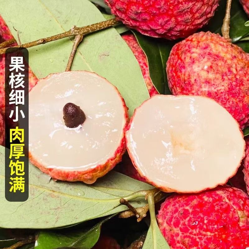 【顺丰次日达】正宗糯米糍核小肉厚荔枝新鲜水果现摘现发5斤净果4.8斤海南省荔枝同城送海南省