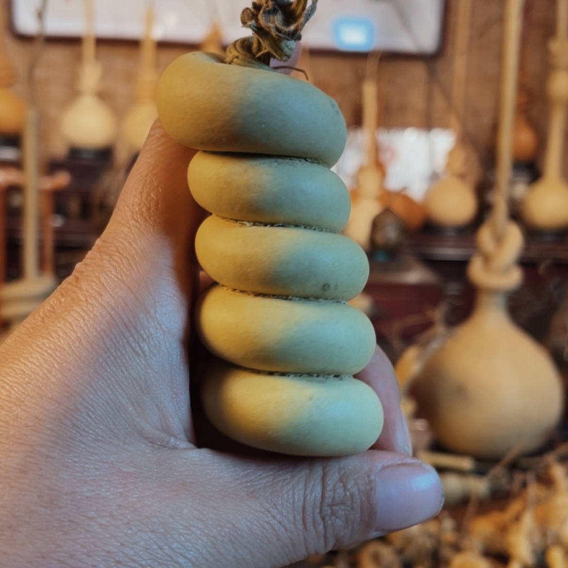 【闪购商品】木?****發葫芦