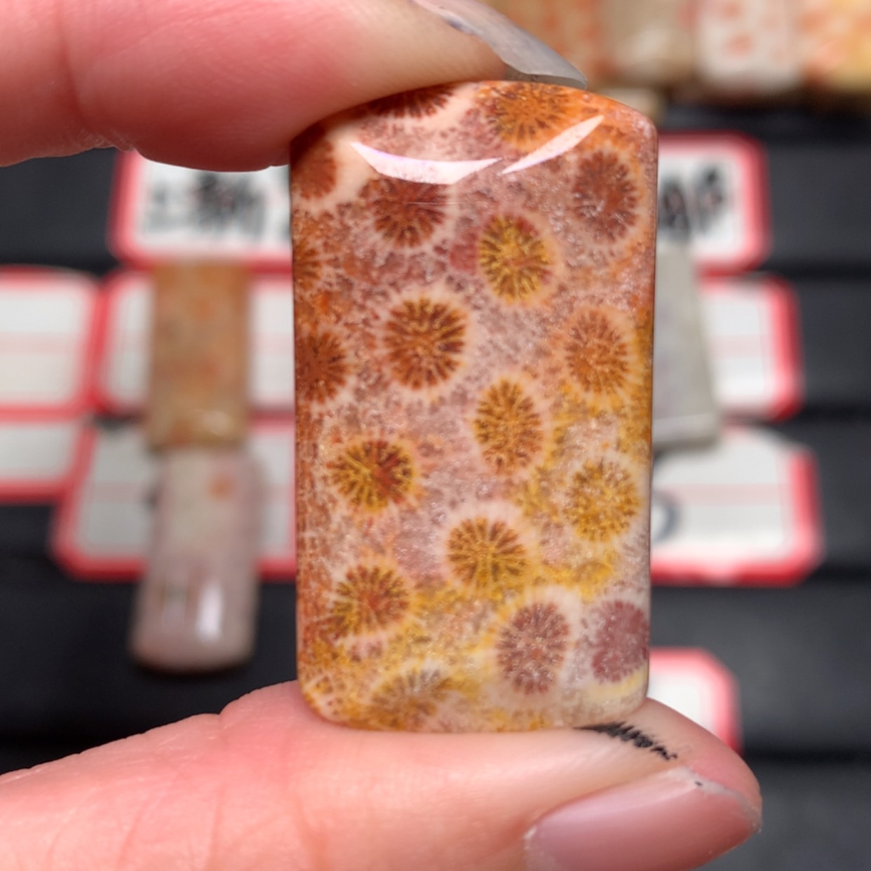 【闪购商品】合金颈饰硅化玉c****l