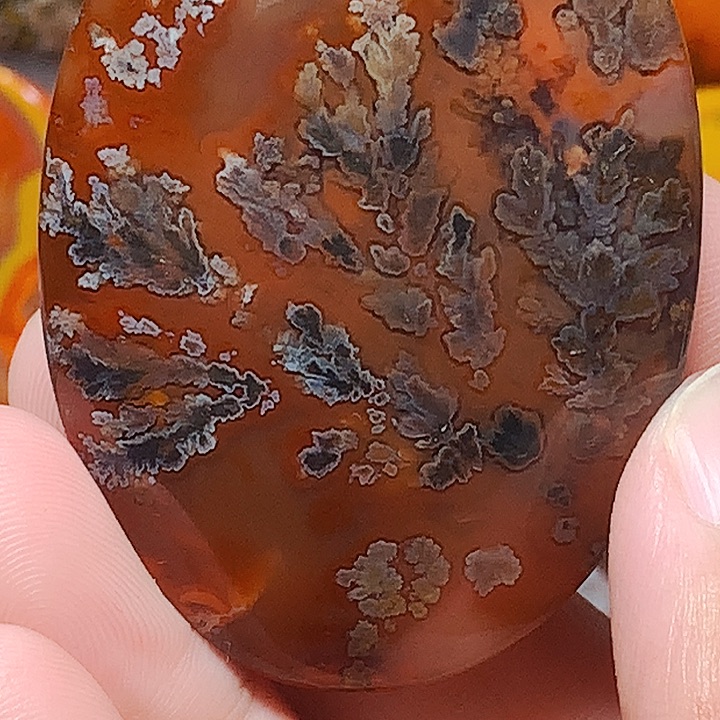 玛瑙/玉髓颈饰合金冬****枣