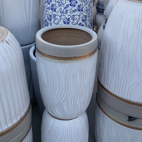 低腰金边水波浪中 口25/40