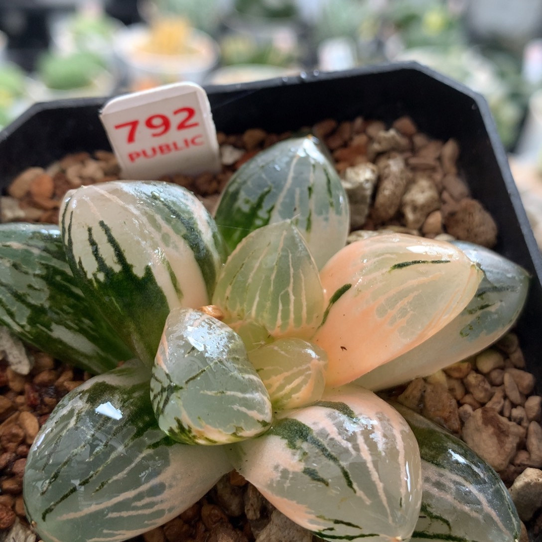 以实际为准792玉潭