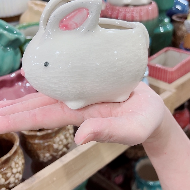 有孔，凑单福利满10元发货陶瓷多肉花盆！