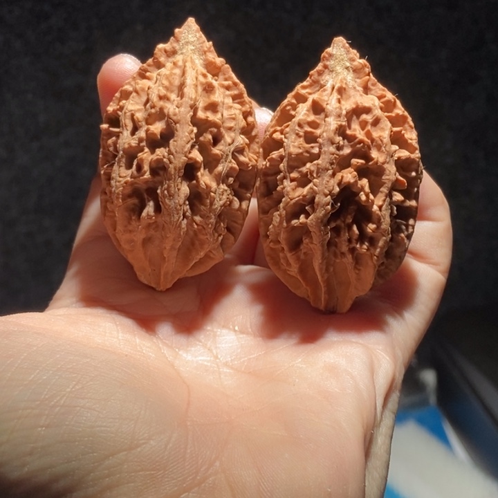 文玩核桃把件东北36