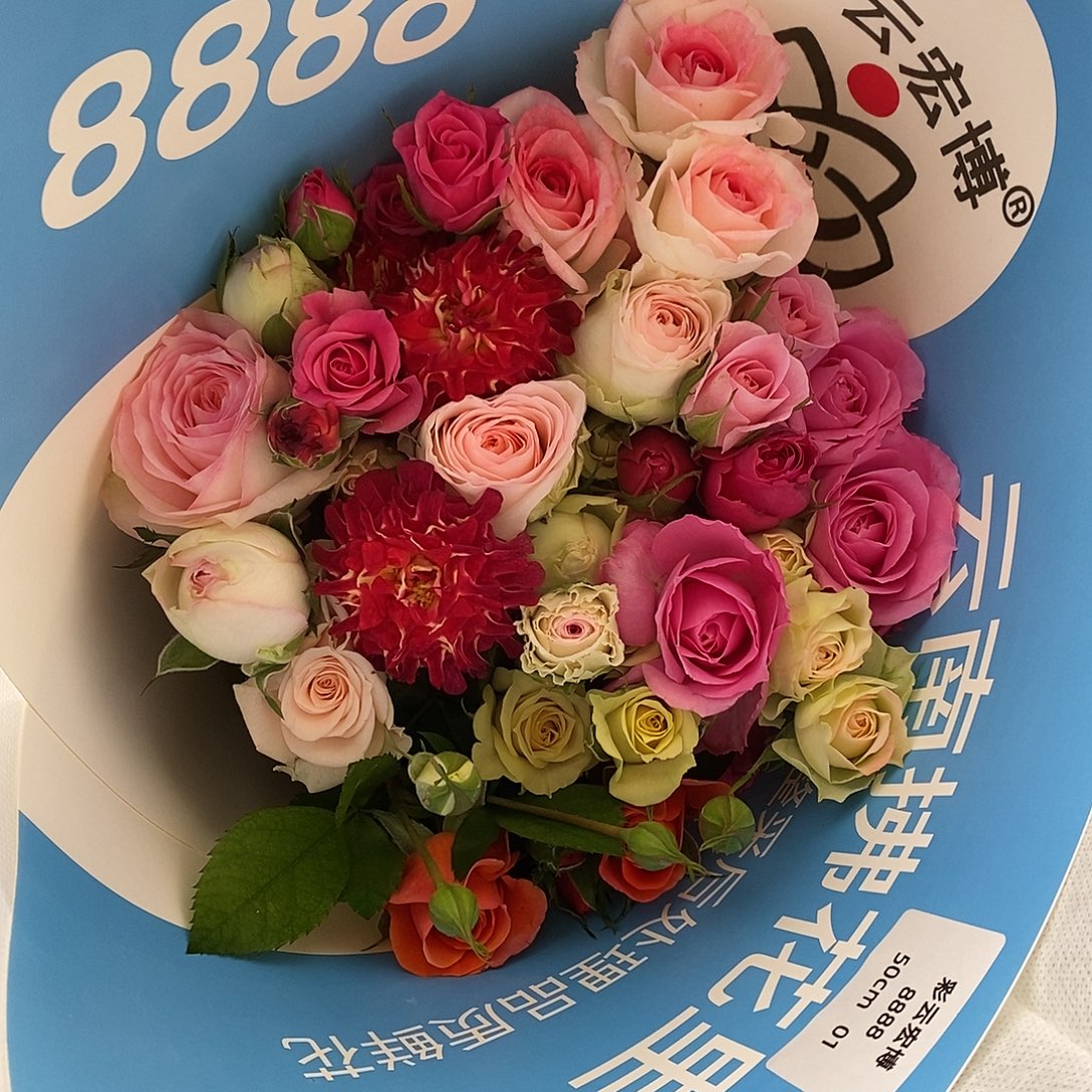 10支-混色多头50-55cm/不包邮