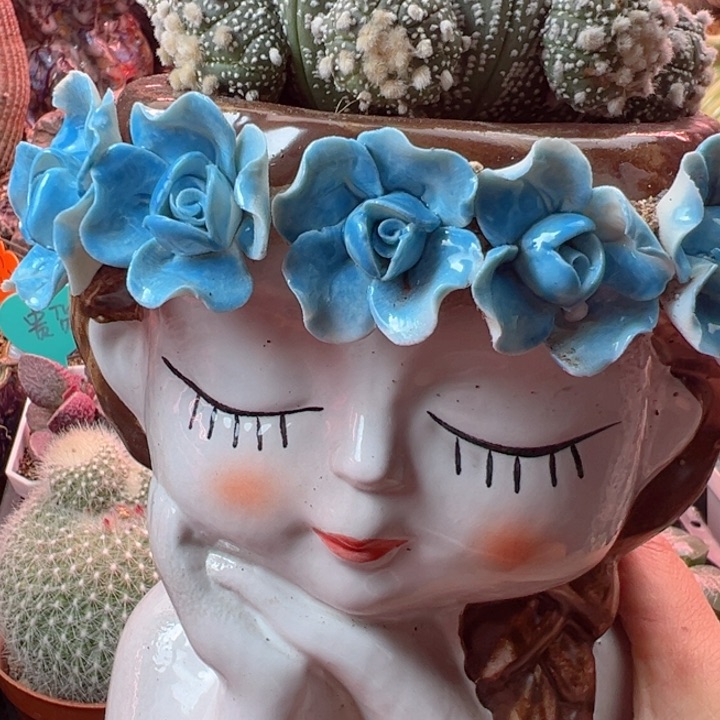 @***故可以说是我的一个朋友了吗