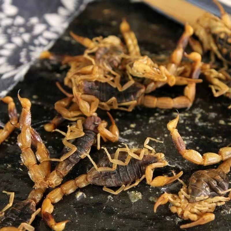 沂蒙山野生蝎子干烘干蝎子  开袋即食