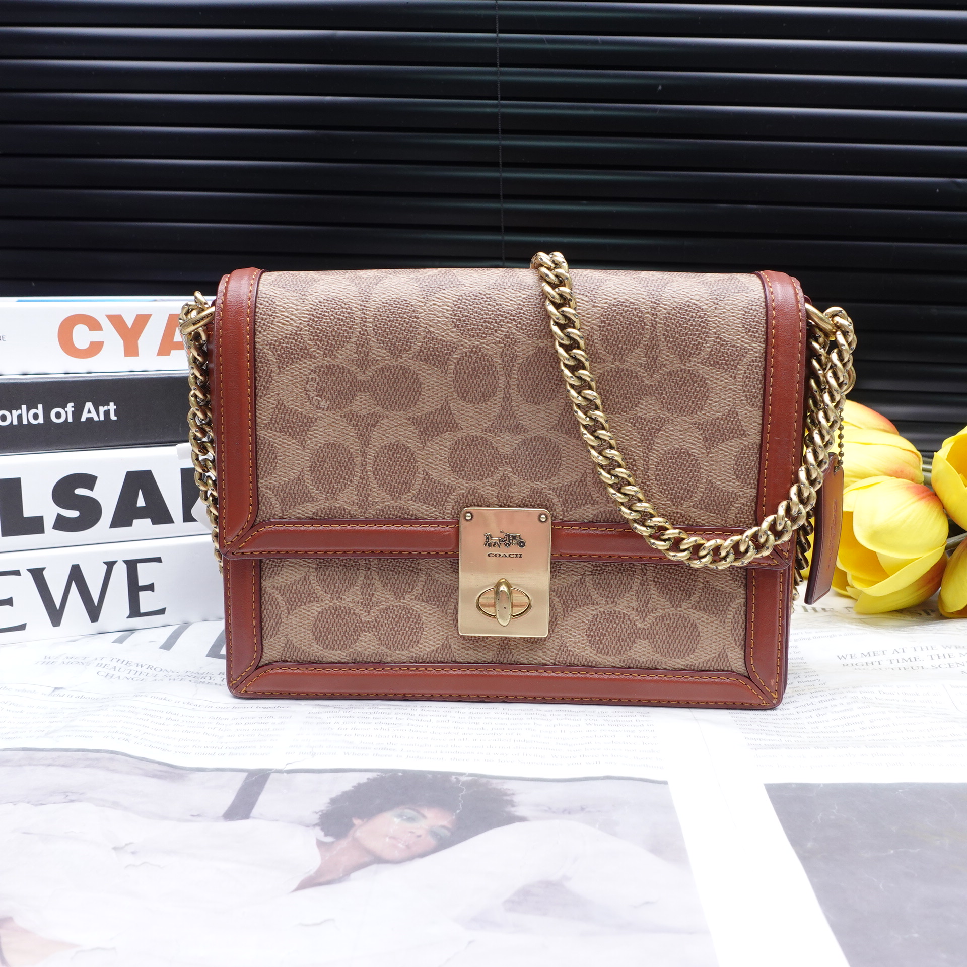 95新 COACH/蔻驰 单肩包/T10340728