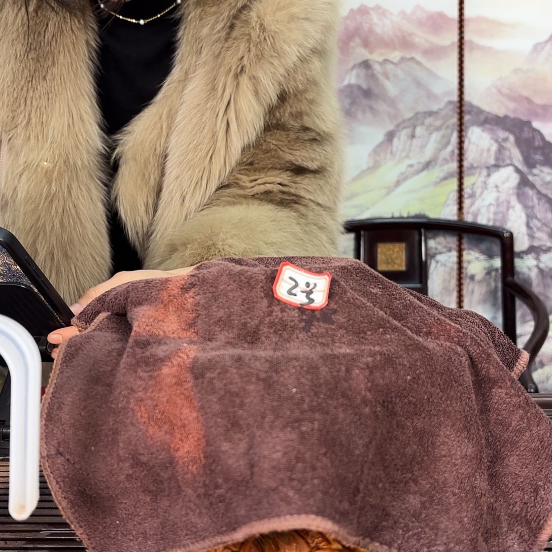 紫砂茶壶一壶李一壶李。2号