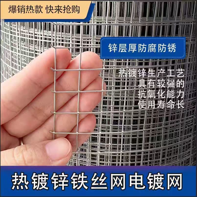热镀锌加粗防锈铁丝网防护用于建筑防裂及养殖围栏防鼠防鸡鸭