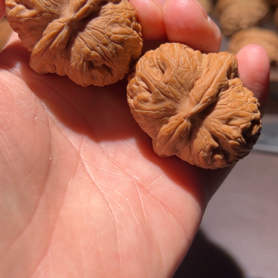 核桃43全品嘎嘎板正元宝