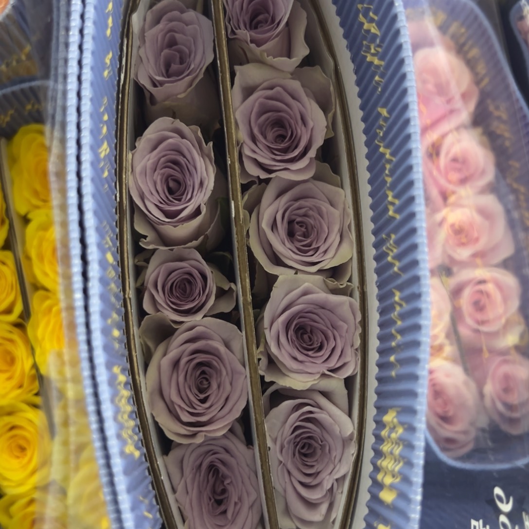 俏夕阳 爆蓝10支装 拍满三单包邮