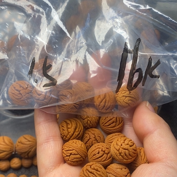 桃核吊坠秦岭山野生桃核