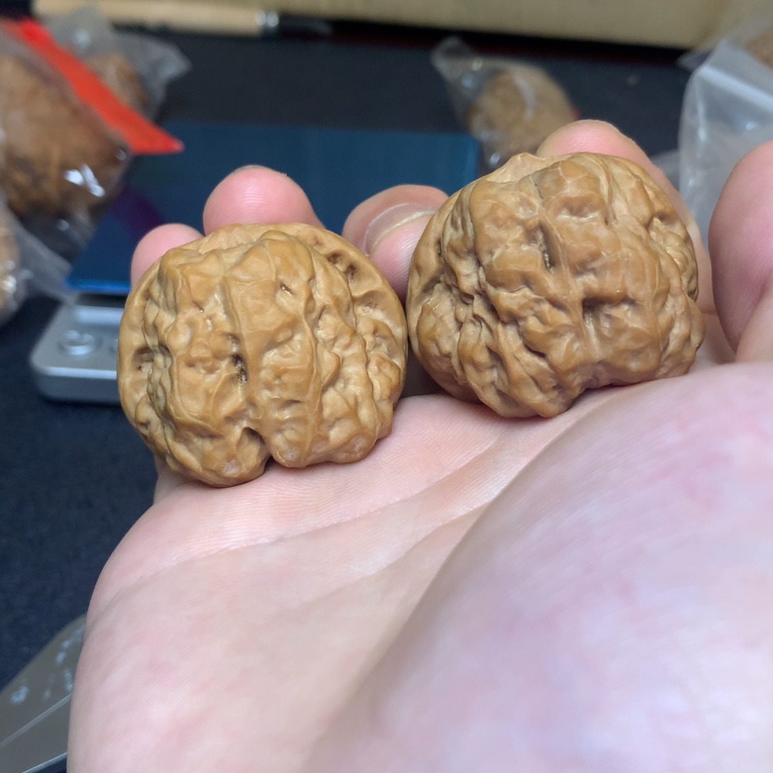 文玩核桃把件40蛤蟆头一对