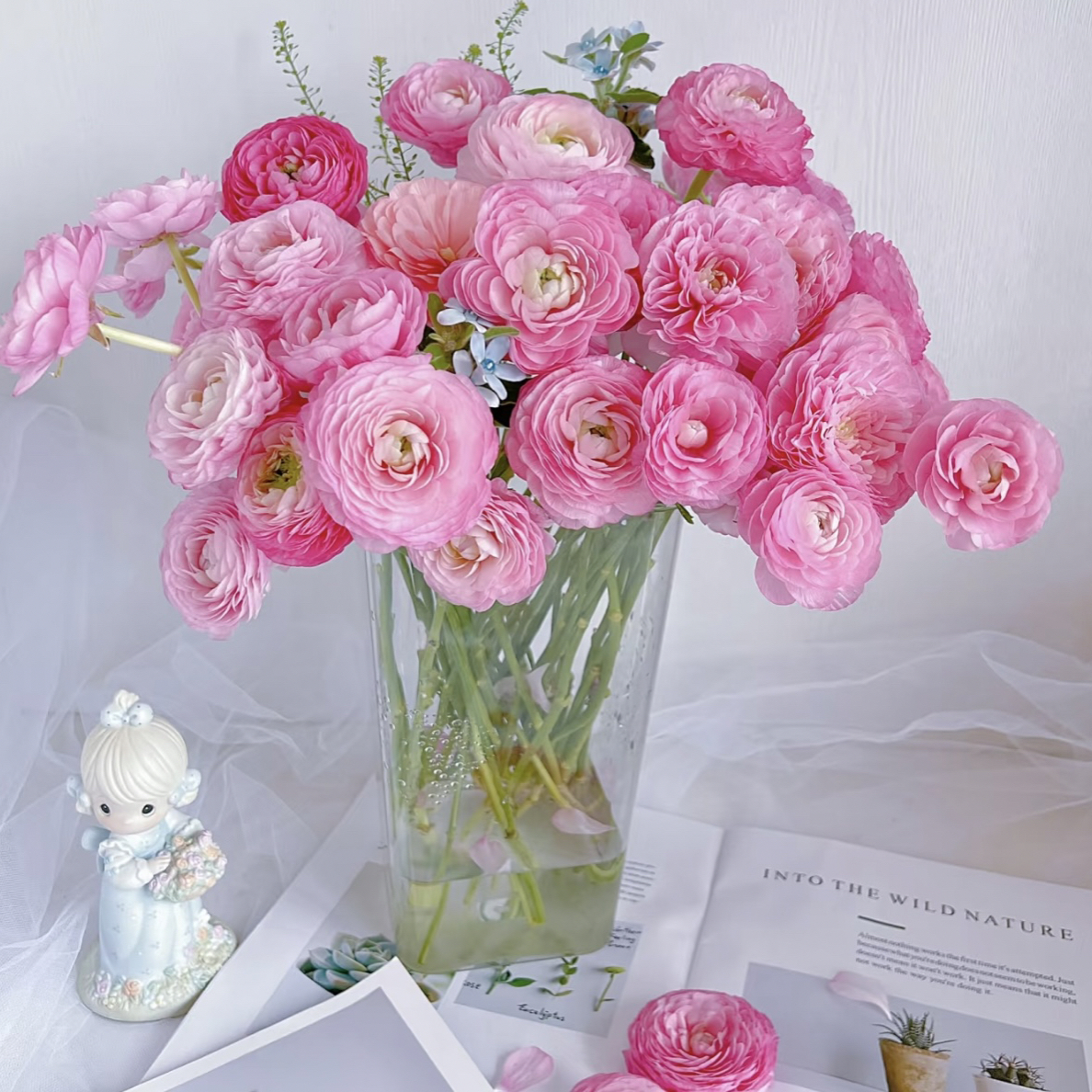 （只发新疆）京东快递，洋牡丹粉色10支一扎