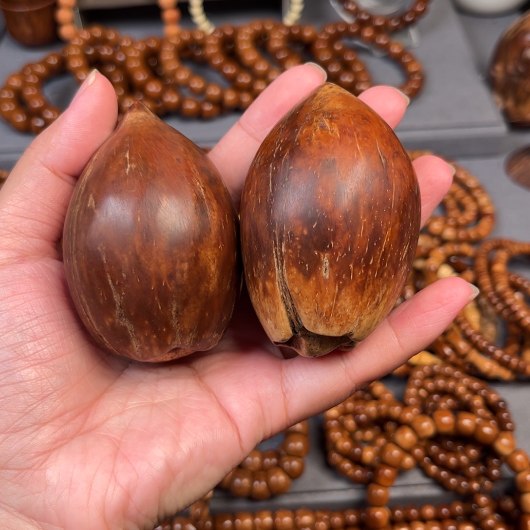 听***雨果皮库克原果福利不退不换