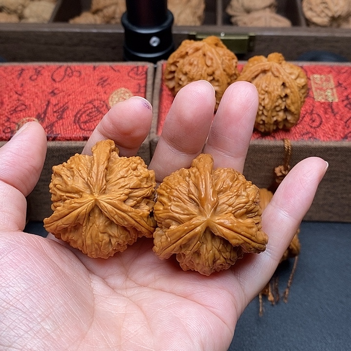 半***斤把件文玩核桃白奔