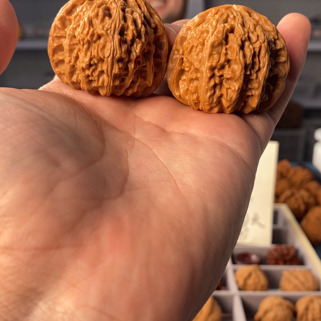 文玩核桃把件45.5白狮子修尖